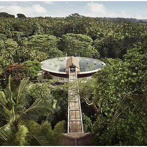 Semesteranläggning (resort) Four Seasons Bali At Sayan, Ubud